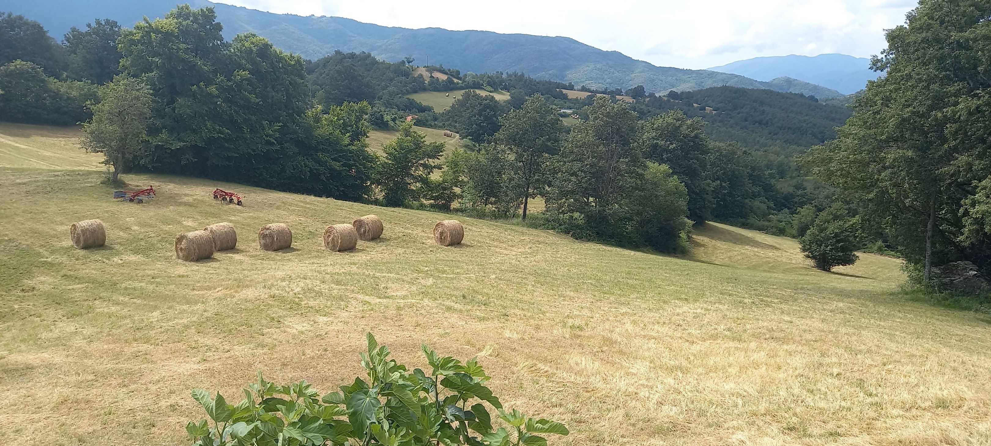 ampio appartamento in collina